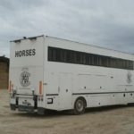 camion-7-places-chevaux-appartement-pour-concours-ecuries-nicolas-mergnac-nercillac
