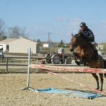 cheval-marron-qui-saute-un-obstacle-ecuries-nercillac