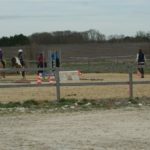 cours-poneys-shetlands-ecuries-nicolas-mergnac-charente-nercillac