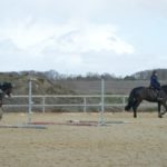 deux-chevaux-cours-poney-club-ecuries-nicolas-mergnac-nercillac.j