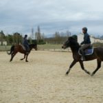 deux-chevaux-marrons-montes-par-leurs-cavalieres-ecuries-nicolas-mergnac