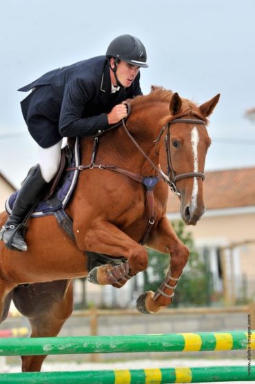 nicolas-mergnac-saut-cheval