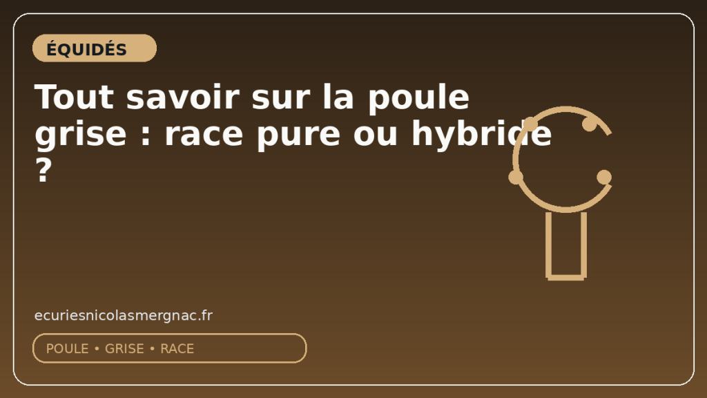 Tout savoir sur la poule grise : race pure ou hybride ?
