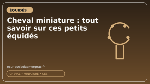 Cheval miniature : tout savoir sur ces petits équidés