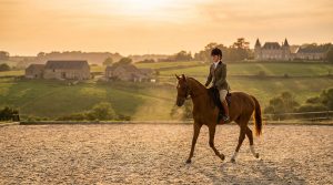 Trouver ses cours d'équitation à Cognac : le guide pratique