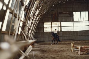Le lapin nain : un engagement de 8 ans et plus