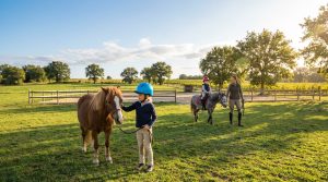 Réussir son stage poney à Cognac : âge, niveau et sécurité