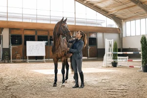 Formation cheval adulte : reconversion réussie en 2026