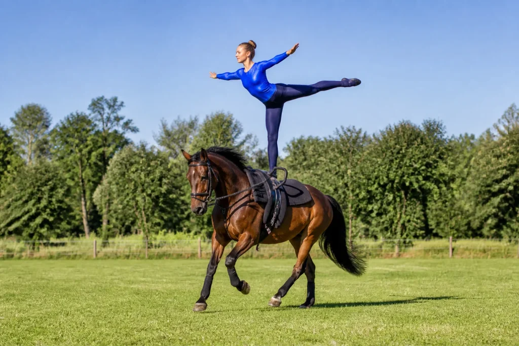 Gymnastique equestre en plein air