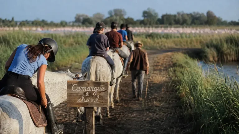 Balade à cheval en Camargue : choisir la bonne durée, le bon niveau et le bon itinéraire