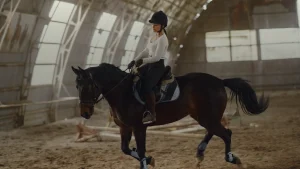 Largeur d'arcade de selle : la mesurer et la vérifier