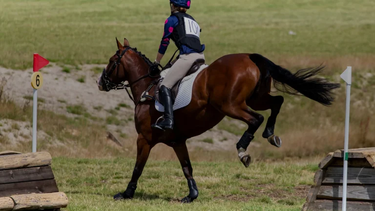 Gilet de protection pour équitation : norme, taille, usure