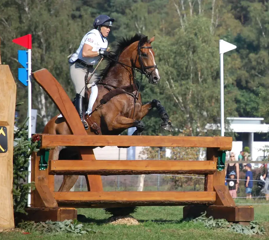 Cavalière de concours complet franchissant un obstacle de cross, gilet de protection et dossard