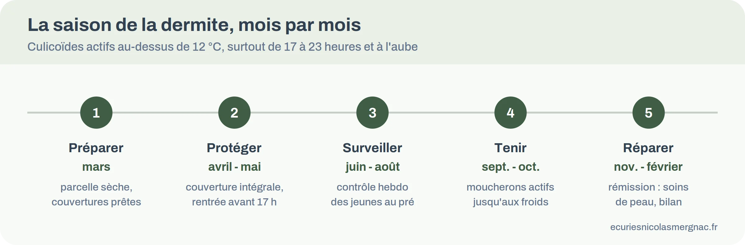 Calendrier de gestion de la dermite estivale du cheval au fil de l'année, de mars à l'hiver