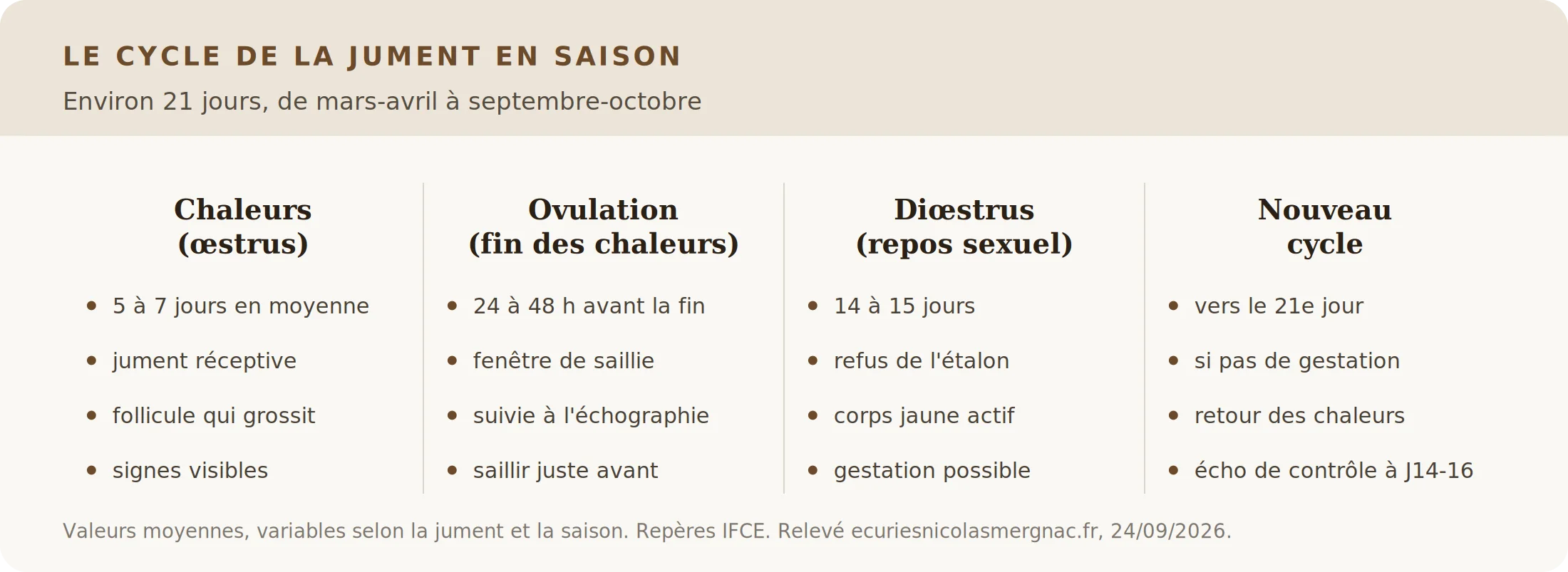 Infographie du cycle de la jument : chaleurs, ovulation, diœstrus et retour en chaleur