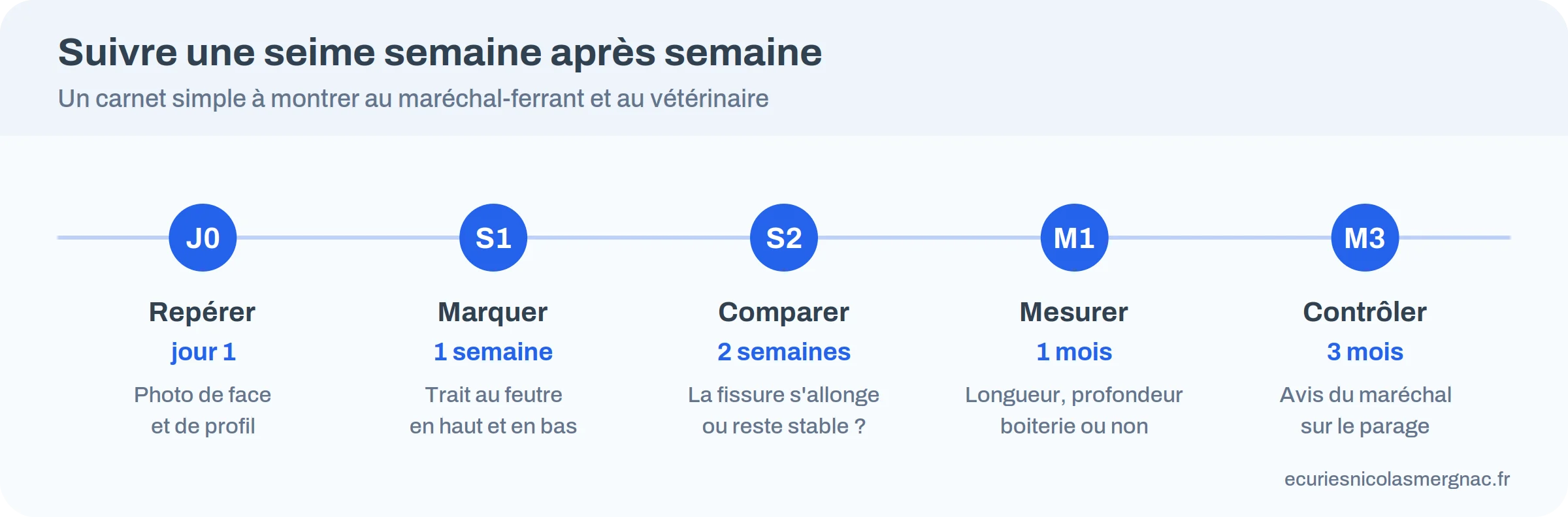 Frise de suivi d'une seime : photo à J0, marquage à une semaine, comparaison à deux semaines, mesure à un mois, contrôle à trois mois
